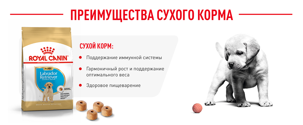 Преимущества сухого корма Преимущества сухого корма