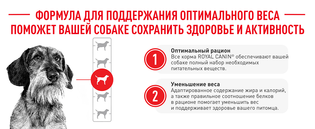 создан для поддержания оптимального веса создан для поддержания оптимального веса