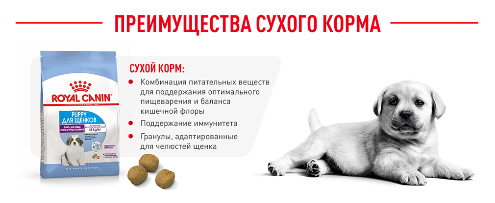 Преимущества сухого корма Преимущества сухого корма