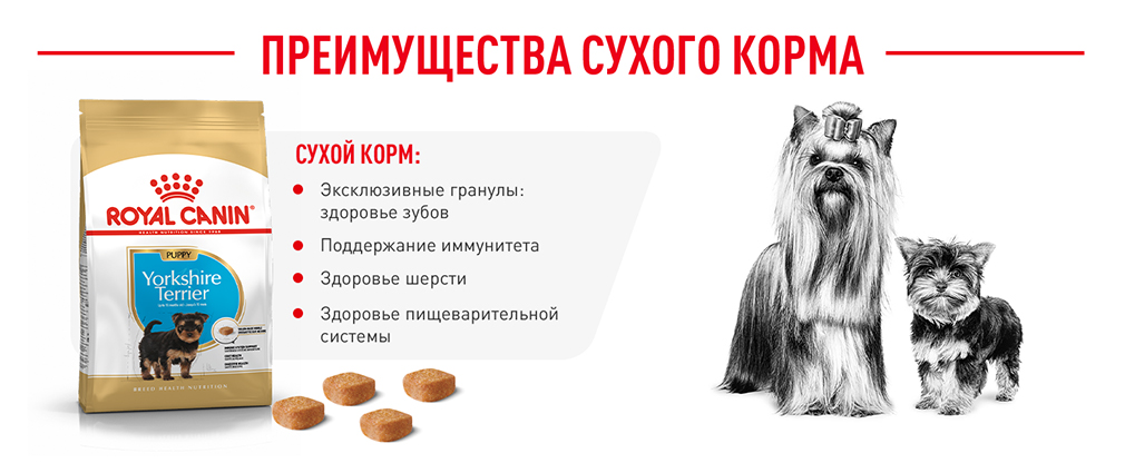 преимущества сухого корма Royal Canin преимущества сухого корма Royal Canin