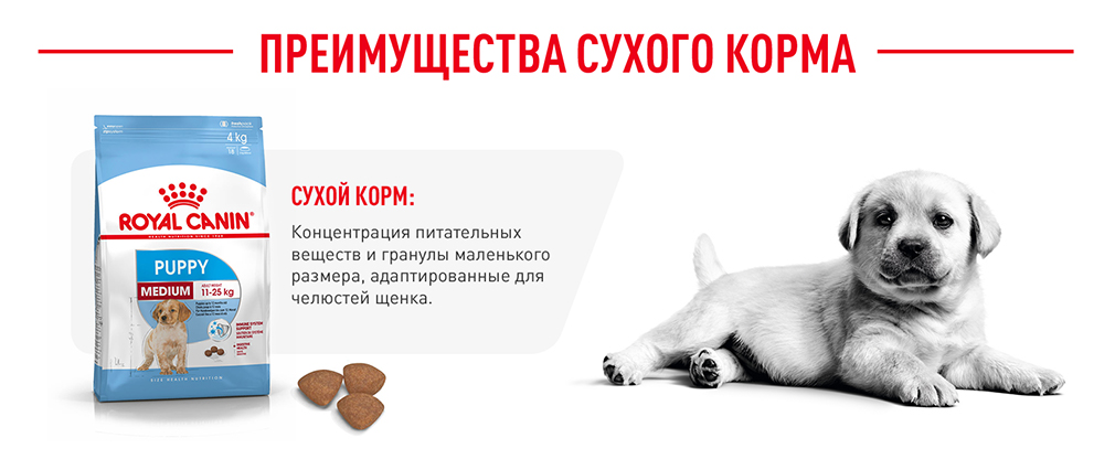 преимущества сухого корма Royal Canin преимущества сухого корма Royal Canin