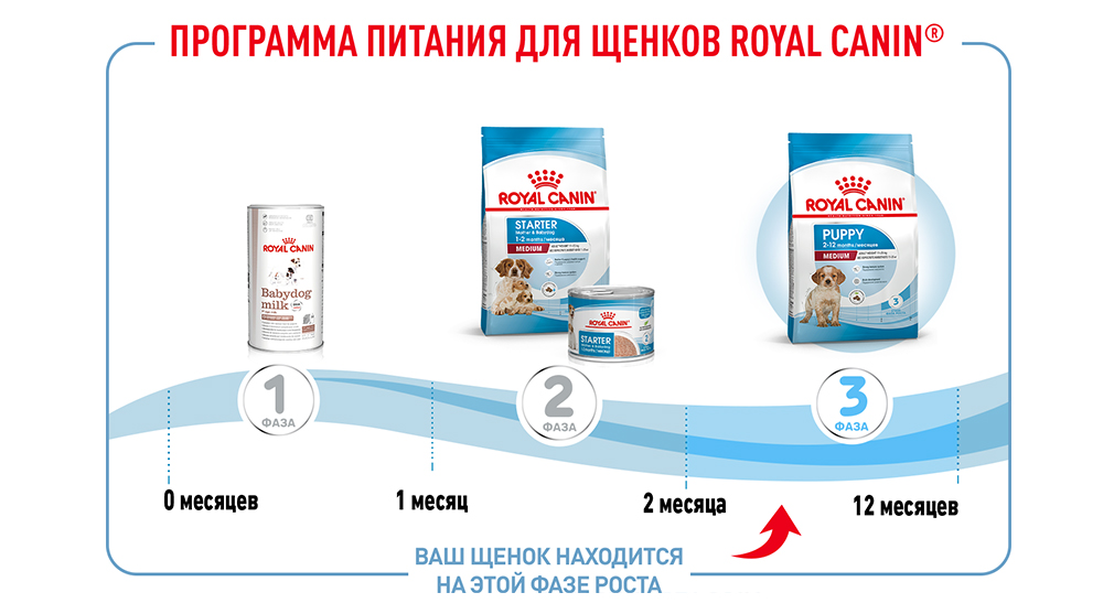 Программа питания для щенков Royal Canin Программа питания для щенков Royal Canin
