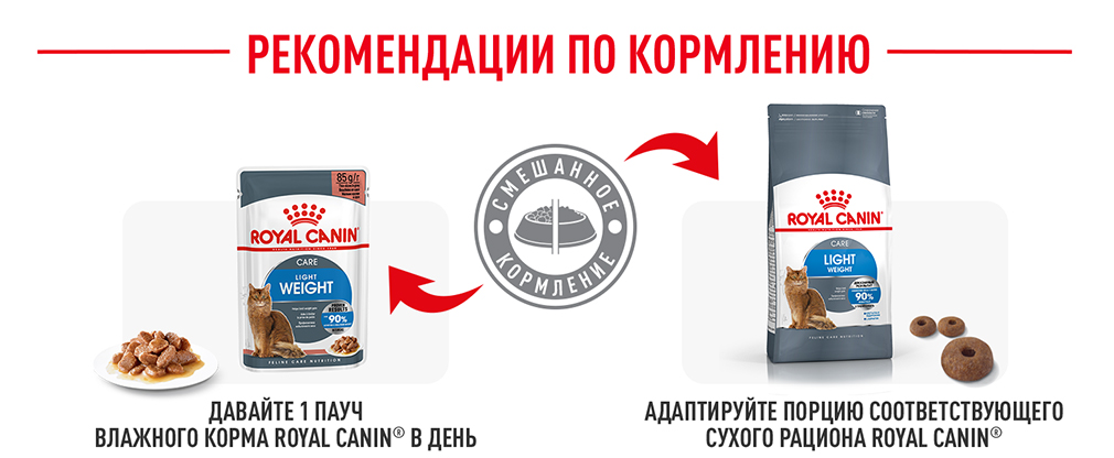 рекомендации по кормлению рекомендации по кормлению