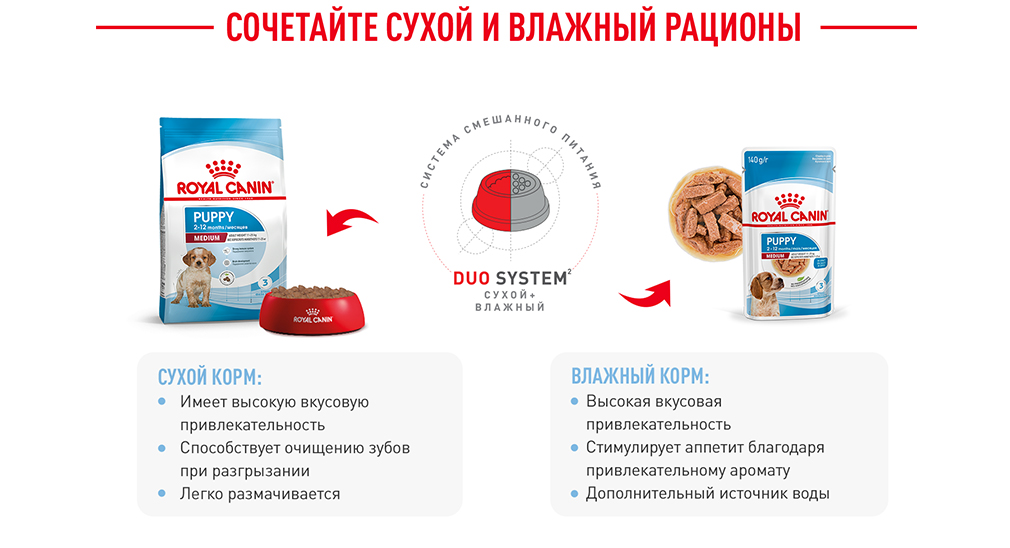 Сочетайте сухой и влажный рационы Сочетайте сухой и влажный рационы