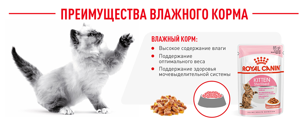 преимущества влажного корма Royal Canin преимущества влажного корма Royal Canin
