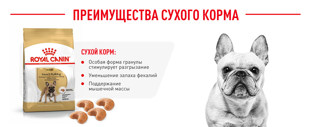 преимущества сухого корма Royal Canin преимущества сухого корма Royal Canin