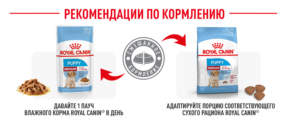 рекомендации по кормлению рекомендации по кормлению