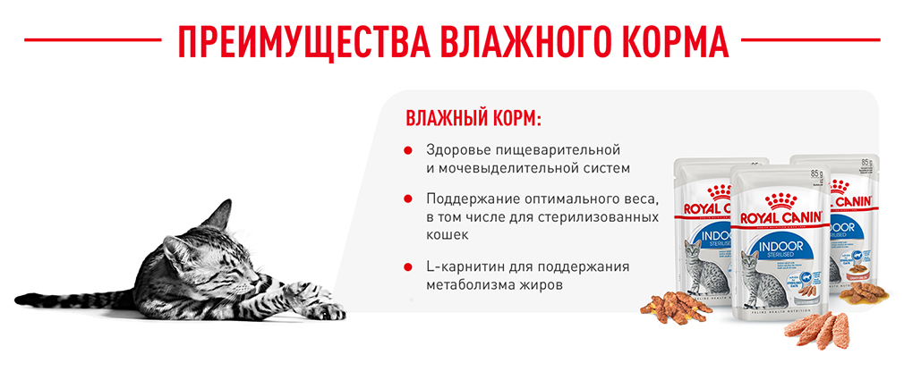 преимущества влажного корма Royal Canin преимущества влажного корма Royal Canin