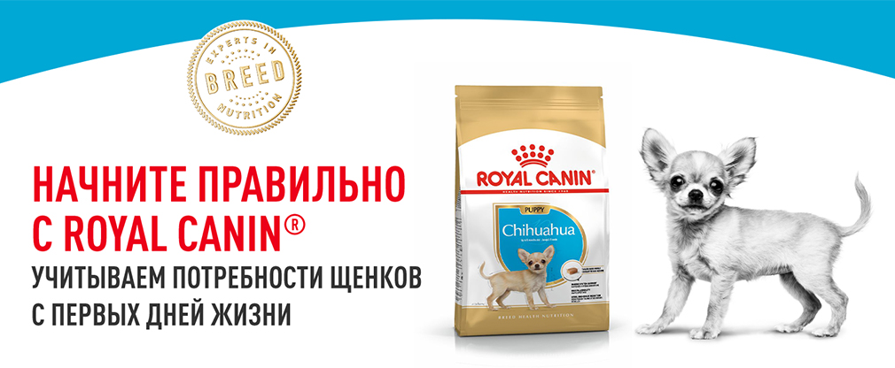 начините правильно с Royal Canin начините правильно с Royal Canin