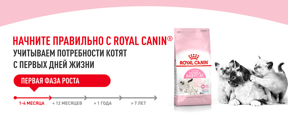 Начните правильно с Royal Canin Начните правильно с Royal Canin