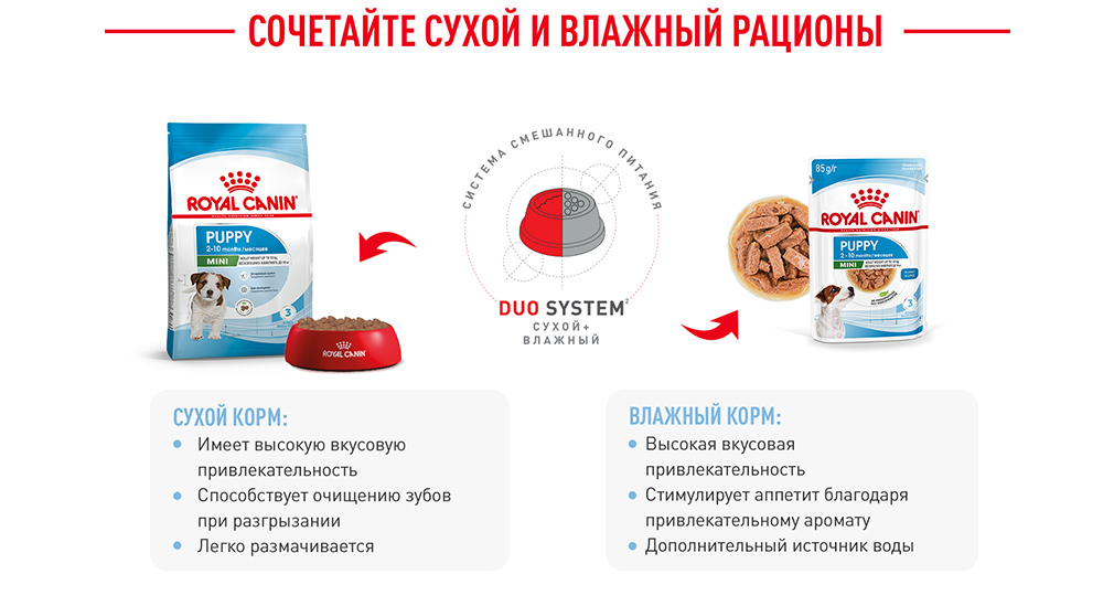 Сочетайте сухой и влажный рационы Сочетайте сухой и влажный рационы