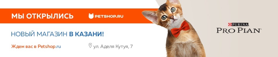 Petshop Ru Интернет Магазин Казань Petshop Ru Интернет Магазин Казань