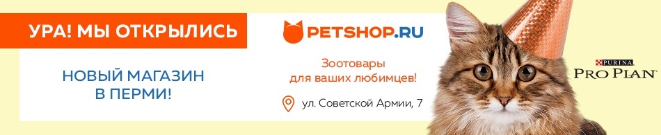 Petshop Ru Интернет Магазин Челябинск