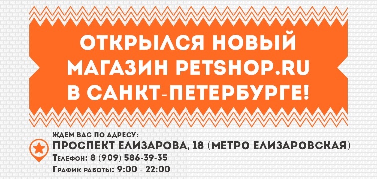 Petshop Ru Интернет Магазин Ростов Petshop Ru Интернет Магазин Ростов