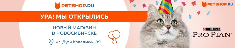 Petshop Ru Интернет Магазин Рязань Petshop Ru Интернет Магазин Рязань
