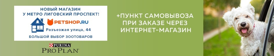 Петшоп Ру Интернет Магазин Ростов