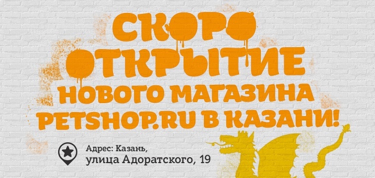 Petshop Ru Интернет Магазин Казань Petshop Ru Интернет Магазин Казань