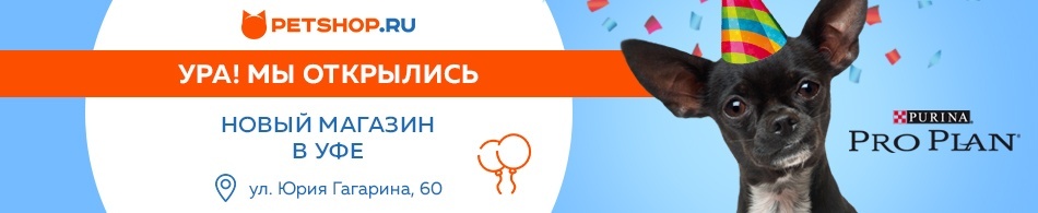 Petshop Ru Интернет Магазин Ростов Petshop Ru Интернет Магазин Ростов
