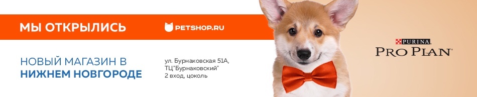 Petshop Ru Интернет Магазин Ростов На Дону