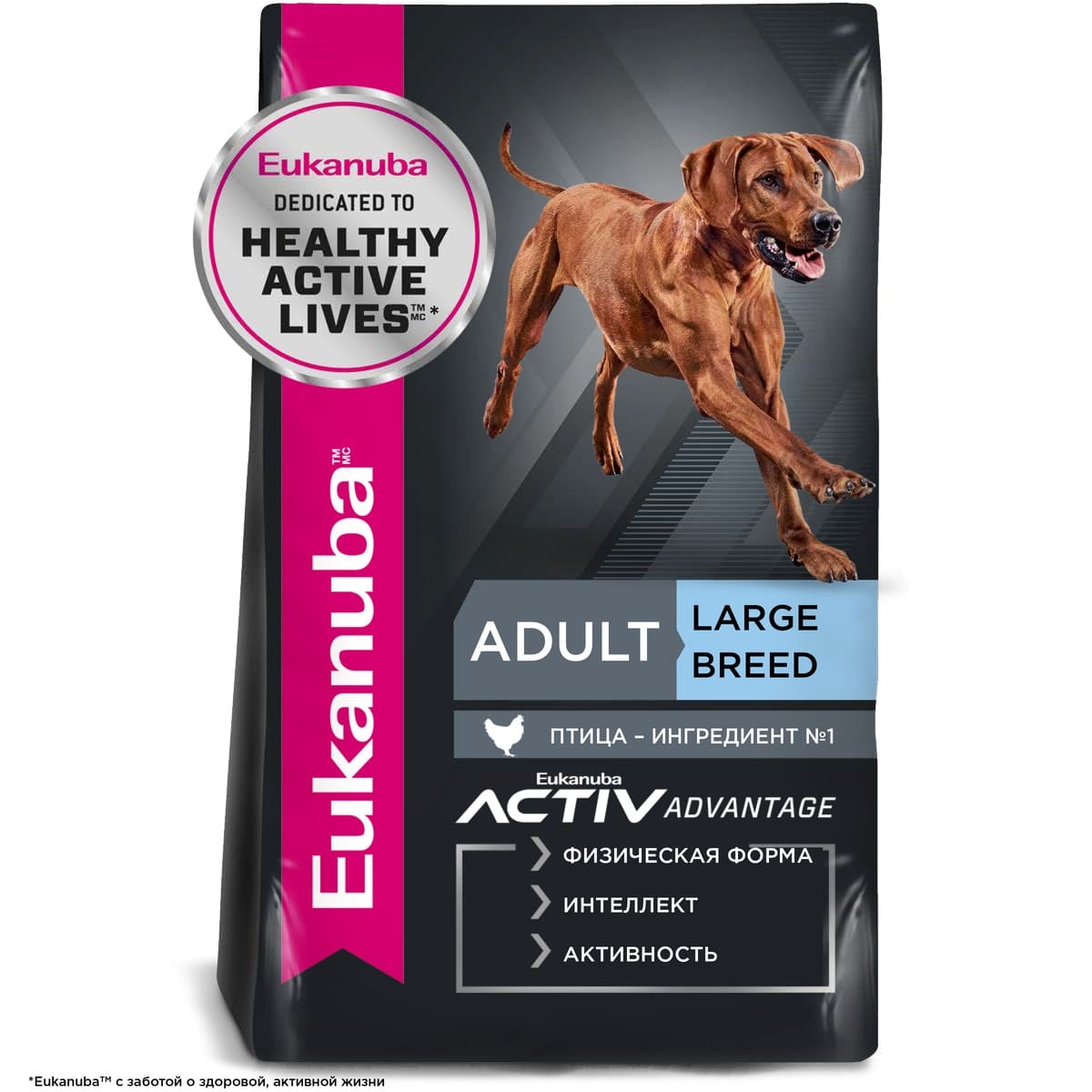 Buy eukanuba online shop