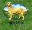 Hokamix