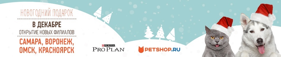 Petshop Ru Интернет Магазин Ростов На Дону