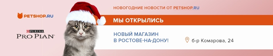 Petshop Ru Интернет Магазин Ростов Petshop Ru Интернет Магазин Ростов