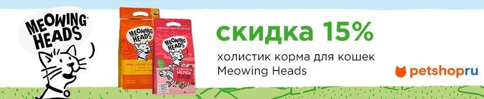 Слайд номер 
