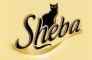 Sheba