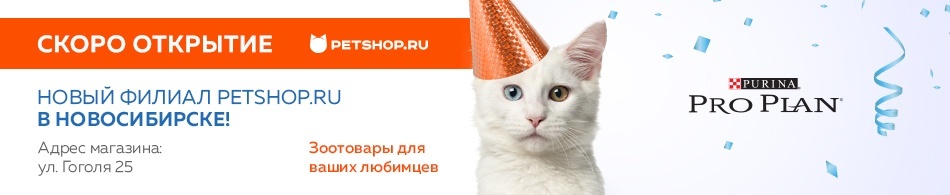 Petshop Ru Интернет Магазин Челябинск