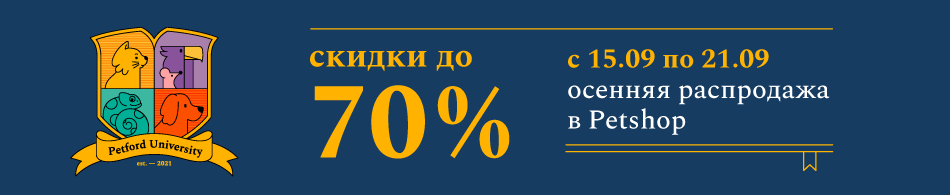 Petshop Ru Интернет Магазин Казань Petshop Ru Интернет Магазин Казань