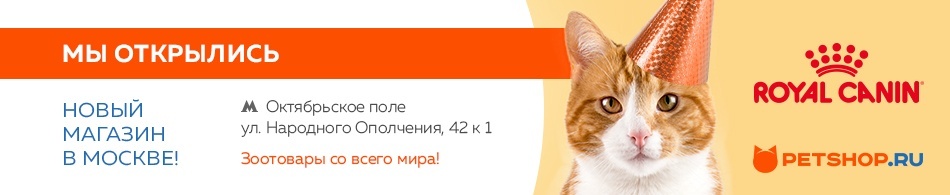 Есть На Октябрьском Поле Магазин Рыболовных Товаров Есть На Октябрьском Поле Магазин Рыболовных Товаров