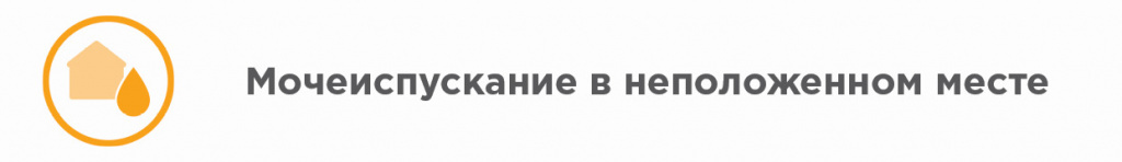 В неположенном месте В неположенном месте