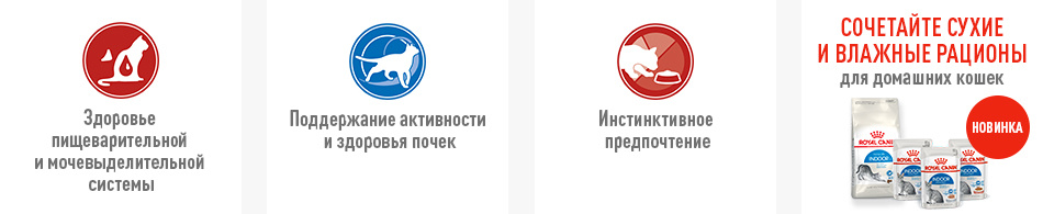 второй баннер из частей.jpg второй баннер из частей.jpg