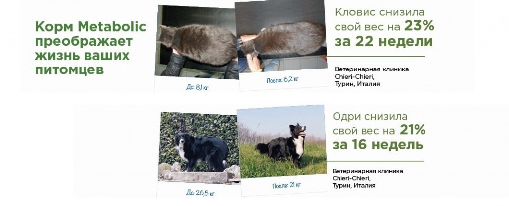 Hills_banner_PetShop_feb_#3_950x195px.jpg Hills_banner_PetShop_feb_#3_950x195px.jpg