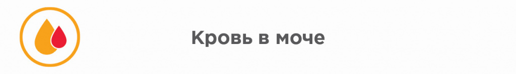 Кровь в моче Кровь в моче