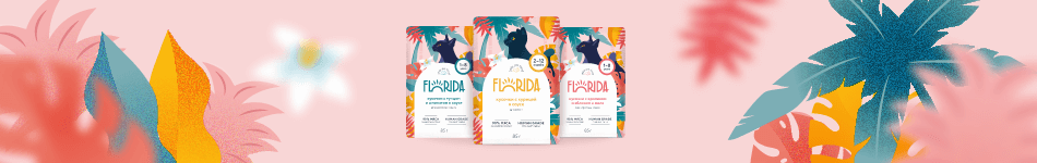 florida6 florida6