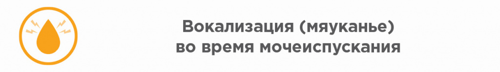 Вокализация Вокализация