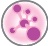pinkbab.png